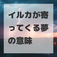 イルカが寄ってくる夢のサムネイル画像