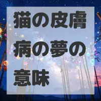 猫の皮膚病の夢のサムネイル画像