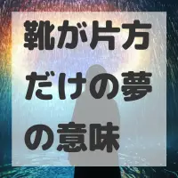 靴が片方だけの夢のサムネイル画像