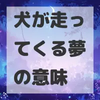 犬が走ってくる夢のサムネイル画像