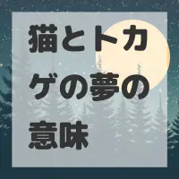 猫とトカゲの夢のサムネイル画像