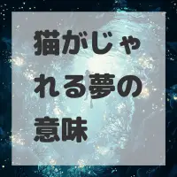 猫がじゃれる夢のサムネイル画像