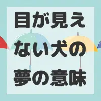 目が見えない犬の夢のサムネイル画像