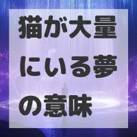 猫が大量にいる夢のサムネイル画像