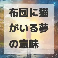 布団に猫がいる夢のサムネイル画像