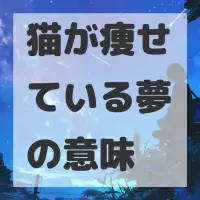 猫が痩せている夢のサムネイル画像