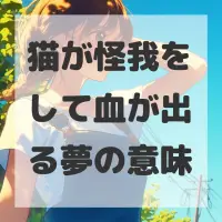 猫が怪我をして血が出る夢のサムネイル画像