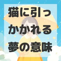 猫に引っかかれる夢のサムネイル画像
