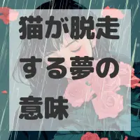 猫が脱走する夢のサムネイル画像