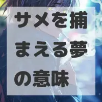 サメを捕まえる夢のサムネイル画像