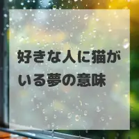 好きな人に猫がいる夢のサムネイル画像