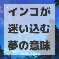 インコが迷い込む夢のサムネイル画像