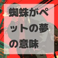 蜘蛛がペットの夢のサムネイル画像