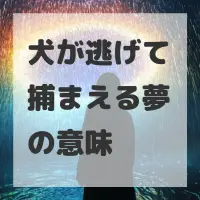 犬が逃げて捕まえる夢のサムネイル画像