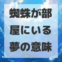 蜘蛛が部屋にいる夢のサムネイル画像