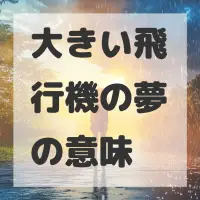 大きい飛行機の夢のサムネイル画像