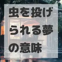 虫を投げられる夢のサムネイル画像