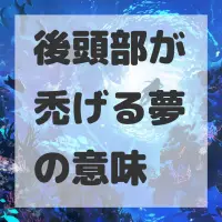 後頭部が禿げる夢のサムネイル画像