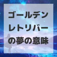 ゴールデンレトリバーの夢のサムネイル画像