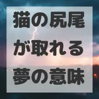 猫の尻尾が取れる夢のサムネイル画像