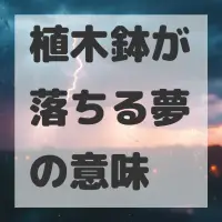 植木鉢が落ちる夢のサムネイル画像