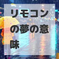 リモコンの夢のサムネイル画像