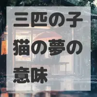 三匹の子猫の夢のサムネイル画像