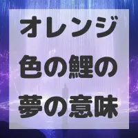 オレンジ色の鯉の夢のサムネイル画像