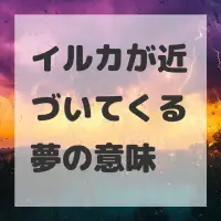 イルカが近づいてくる夢のサムネイル画像