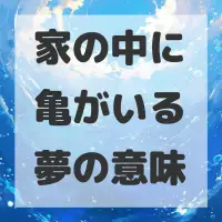 家の中に亀がいる夢のサムネイル画像