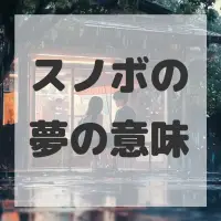 スノボの夢のサムネイル画像