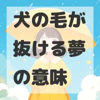 犬の毛が抜ける夢のサムネイル画像