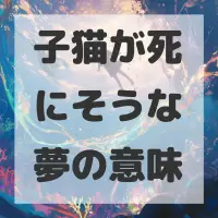 子猫が死にそうな夢のサムネイル画像