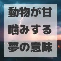 動物が甘噛みする夢のサムネイル画像