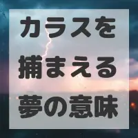 カラスを捕まえる夢のサムネイル画像