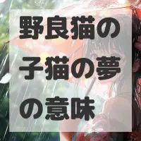 野良猫の子猫の夢のサムネイル画像