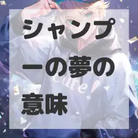 シャンプーの夢のサムネイル画像