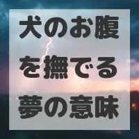 犬のお腹を撫でる夢のサムネイル画像