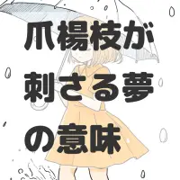 爪楊枝が刺さる夢のサムネイル画像