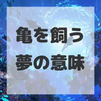 亀を飼う夢のサムネイル画像