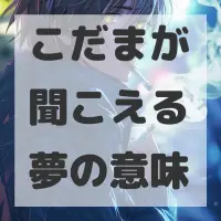 こだまが聞こえる夢のサムネイル画像