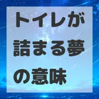 トイレが詰まる夢のサムネイル画像