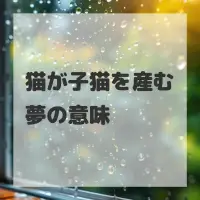 猫が子猫を産む夢のサムネイル画像