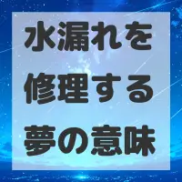 水漏れを修理する夢のサムネイル画像