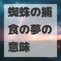 蜘蛛の捕食の夢のサムネイル画像