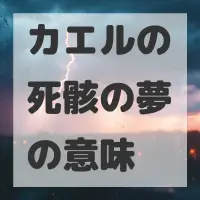 カエルの死骸の夢のサムネイル画像