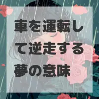 車を運転して逆走する夢のサムネイル画像
