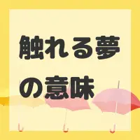 触れる夢のサムネイル画像