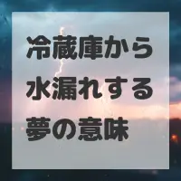冷蔵庫から水漏れする夢のサムネイル画像