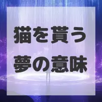 猫を貰う夢のサムネイル画像